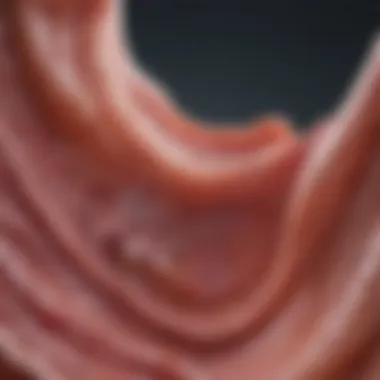 Hereditary Factors in Uterus Cancer: An In-Depth Analysis Introduction Hereditary Factors in Uterus Cancer: An In-Depth Analysis Introduction