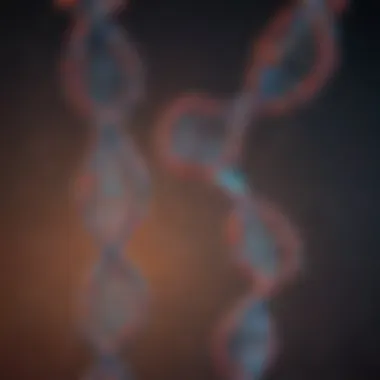 DNA Repair Mechanisms Linked to HRR Diagram illustrating DNA repair mechanisms associated with HRR