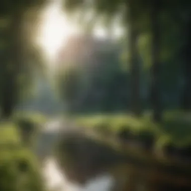 The Role of Environment in Promoting Health An urban environment with green spaces