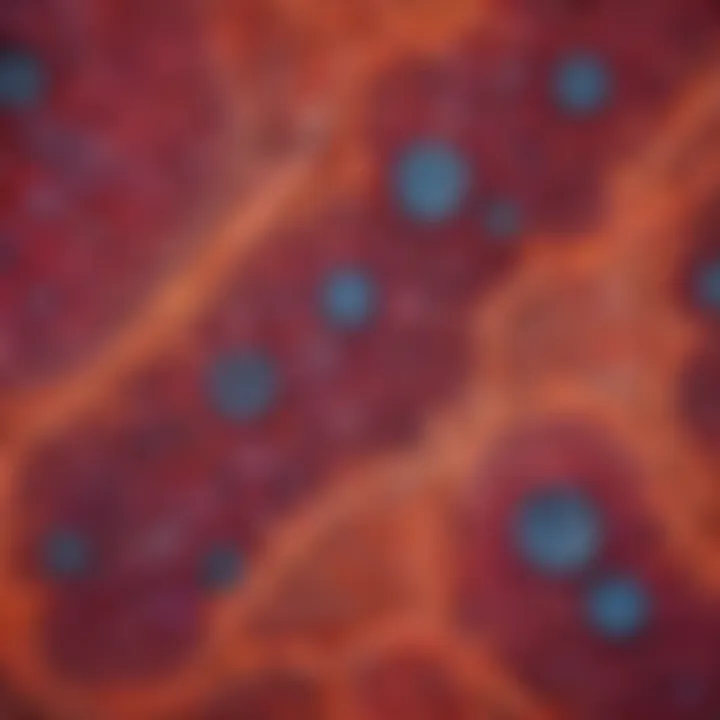 Detailed view of immunofluorescence-stained tissue sections