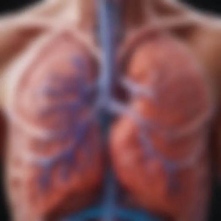 A detailed diagram illustrating the connection between COPD and heart health