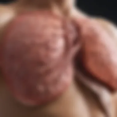 Symptoms of Elevated Liver Enzymes Illustration depicting liver health and common symptoms of elevated enzymes
