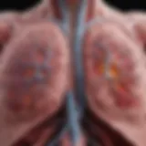 Diagram illustrating the pathways of lung cancer metastasis to the liver