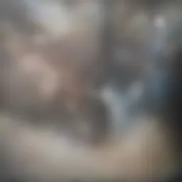 Global map illustrating mental health prevalence