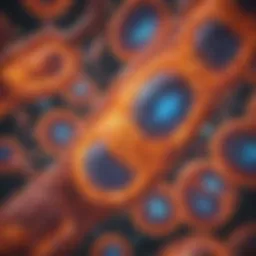 Illustration of mitochondria showcasing cellular energy production