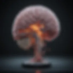 Neonatal brain activity during seizures