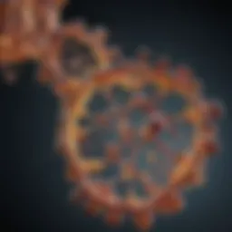 Molecular structure of Vitamin K