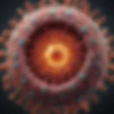 Illustration of HPV virus structure