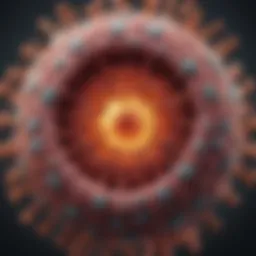 Illustration of HPV virus structure