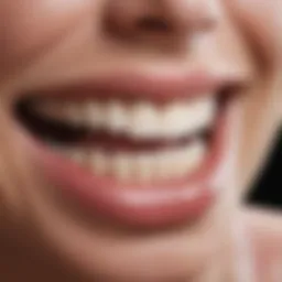 A close-up view of healthy teeth and gums illustrating optimal oral health.