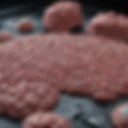 A detailed examination of brain tissue samples under a microscope.