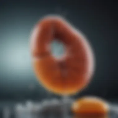 Role of Diuretics in Kidney Stone Treatment Visual representation of diuretics and their role in promoting urine flow for kidney stone treatment.