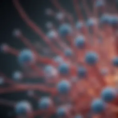Applications of ProteinTech Antibodies in Research A visual representation of the diverse applications of ProteinTech antibodies in research