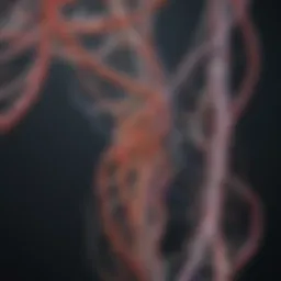 The intricate connections between genetics and aging mechanisms