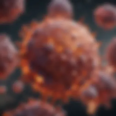 Immunological Insights into Renal Cancer Risk Emerging research on immunological factors in renal cancer