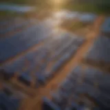 Aerial view of a solar farm generating clean energy