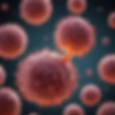 Understanding the Pathology of T Cell Lymphoblastic Lymphoma Illustration depicting T cell lymphoblastic lymphoma pathology