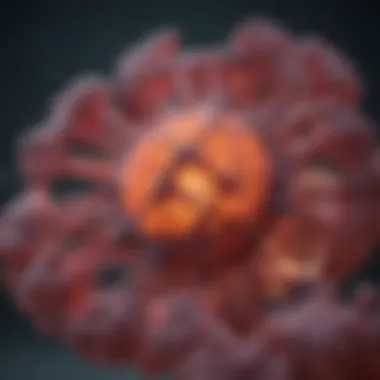 Targeted Therapies in T Cell Lymphoblastic Lymphoma Infographic on targeted therapies for lymphoma