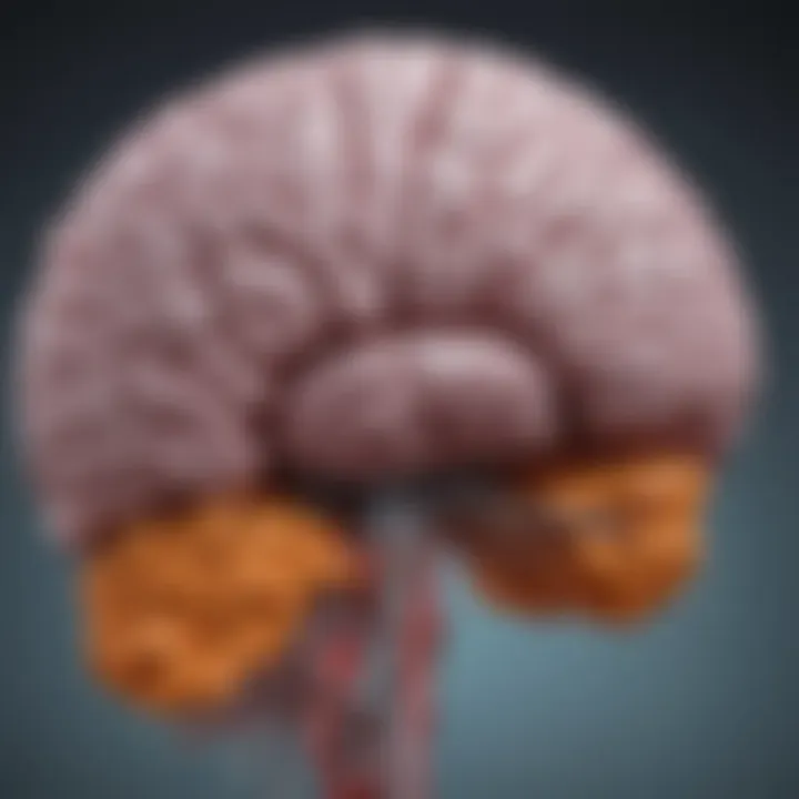 Diagram illustrating the classification of thalamic gliomas based on histological features