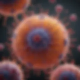 T cell activation overview diagram