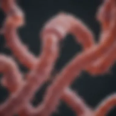 The Connection Between BRCA1 and Cancer: An In-Depth Exploration Introduction