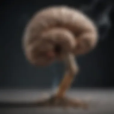 Visual representation of the biological impact of nicotine on the brain