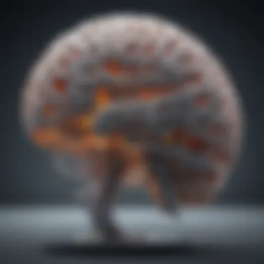 Structural Alterations in the Brain from Alcohol Brain structure changes due to alcohol consumption