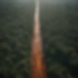 Aerial view of palm oil plantations encroaching on rainforest