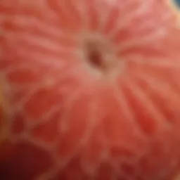 Close-up of grapefruit flesh showcasing its juicy texture and fiber content