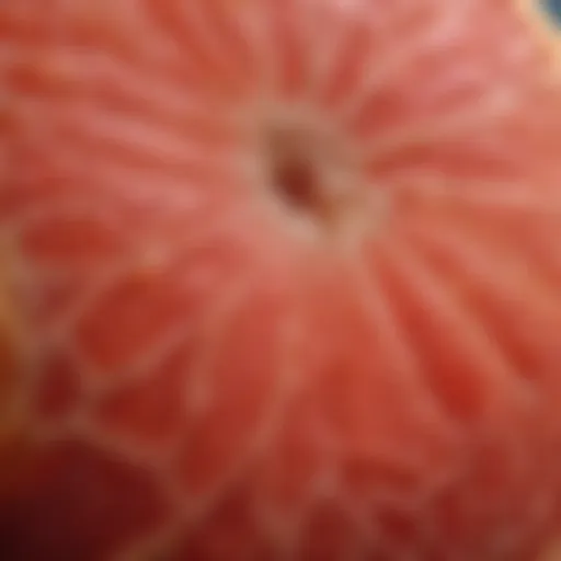 Close-up of grapefruit flesh showcasing its juicy texture and fiber content