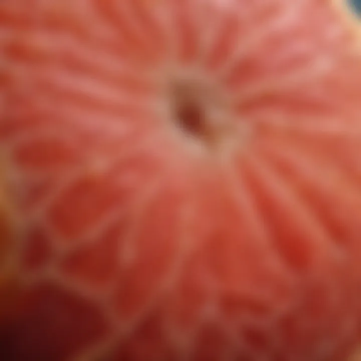 Close-up of grapefruit flesh showcasing its juicy texture and fiber content