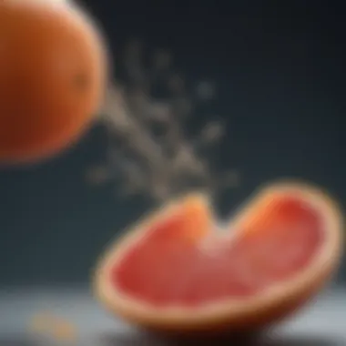 Diagram illustrating the interactions of grapefruit fiber with common medications