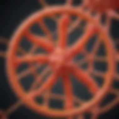 Illustration depicting the molecular structure of grapefruit fiber and its components