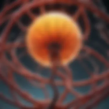 Notable The Multifaceted Role of Gas6 in Biological Systems Notable The Multifaceted Role of Gas6 in Biological Systems