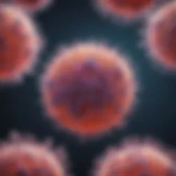 Illustration of T lymphocyte development in the thymus