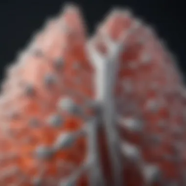 Graphic illustrating calcium's role in various lung diseases