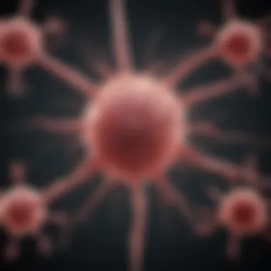 Mechanisms of Cancer Transmission Infographic detailing cancer transmission mechanisms