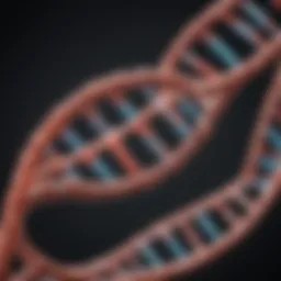 Illustration of DNA strands representing parental genetics