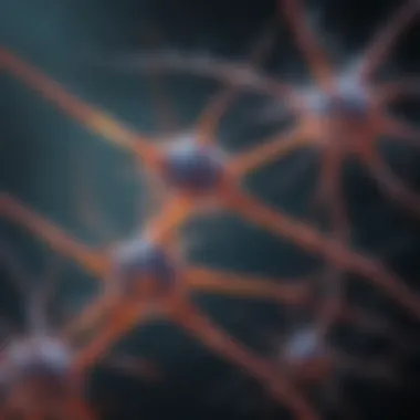 Illustration depicting astrocyte interactions with neurons