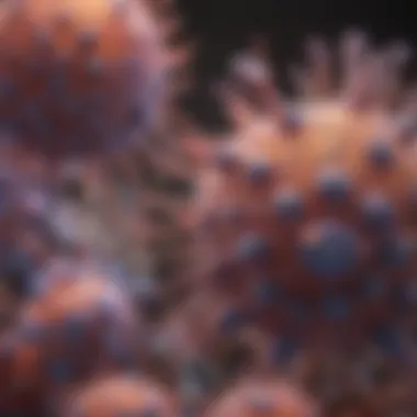 The Role of Sphingosine 1 Phosphate Antibodies in Cellular Mechanisms Summary The Role of Sphingosine 1 Phosphate Antibodies in Cellular Mechanisms Summary