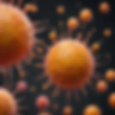 Cellular Mechanisms of Vitamin C in Cancer Prevention Cellular processes influenced by vitamin C