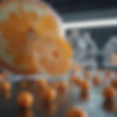 Future Directions in Vitamin C Research for Cancer Prevention Future research areas in vitamin C and cancer