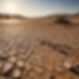 A barren landscape highlighting drought conditions