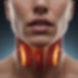 Thyroid hormone interaction with metabolism