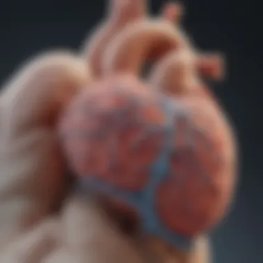 Diagnostic Approaches for Transient Atrial Fibrillation Visual representation of diagnostic methods for transient atrial fibrillation.