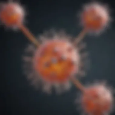 Schematic representation of the ubiquitin-proteasome system in action