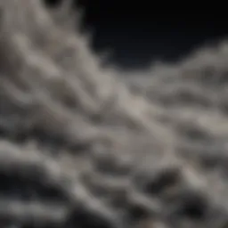 Microscopic view of asbestos fibers showcasing their structure.