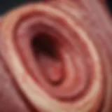 Illustration depicting the arterial plaque buildup associated with atherosclerosis