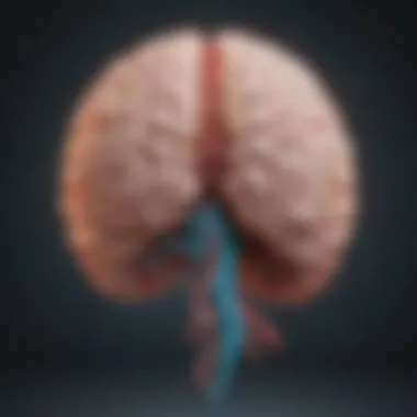 Brain Regions Affected by Neurological Disorders Illustration depicting the brain with highlighted regions affected by neurological disorders