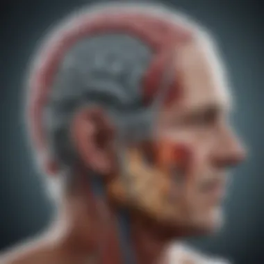 Mechanisms of Neurodegenerative Diseases Diagram illustrating the mechanisms of neurodegenerative diseases